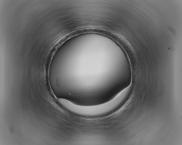 X0000111460969200907271248