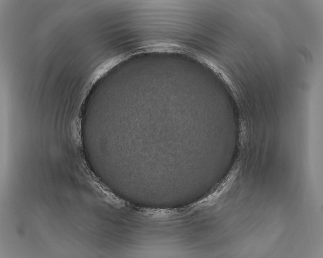 X0000111460970200907271248