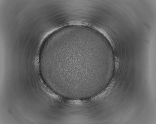 X0000111460971200907271248