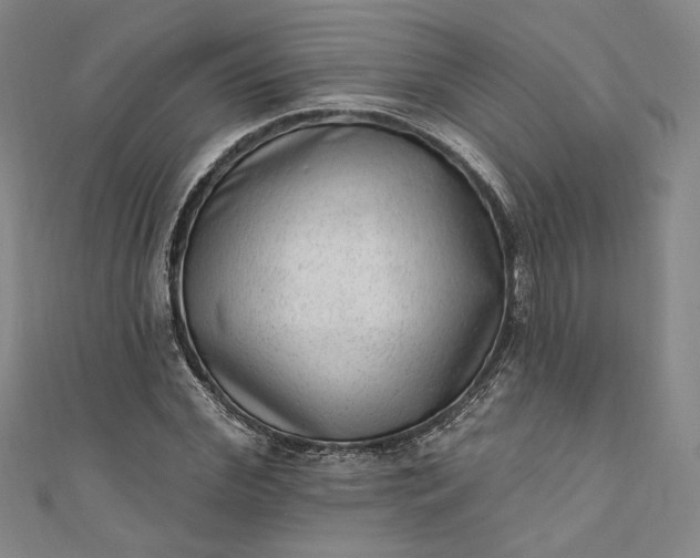 X0000111460972200907271248