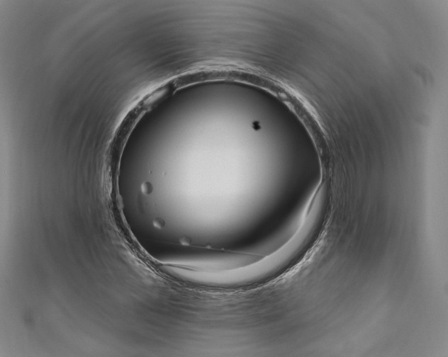 X0000111460973200907271248