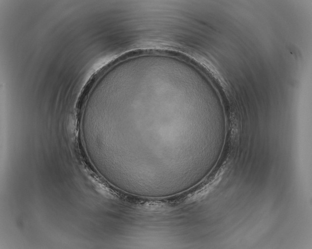 X0000111460974200907271248