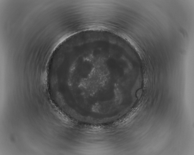 X0000111460975200907271248