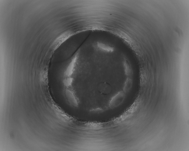 X0000111460977200907271248