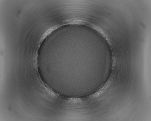 X0000111460978200907271248