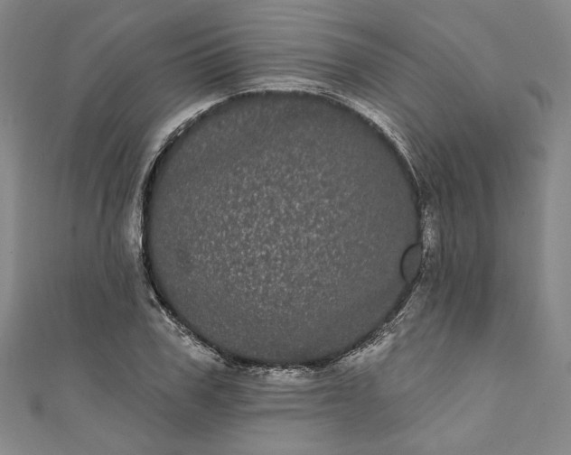 X0000111460979200907271248