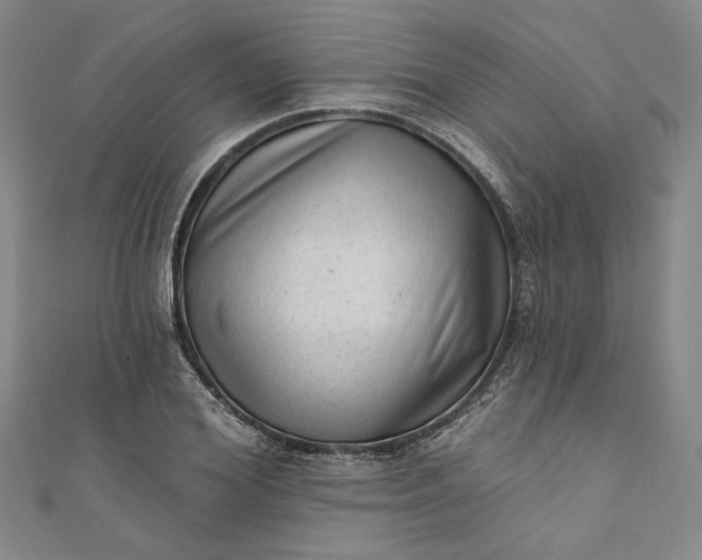 X0000111460980200907271248