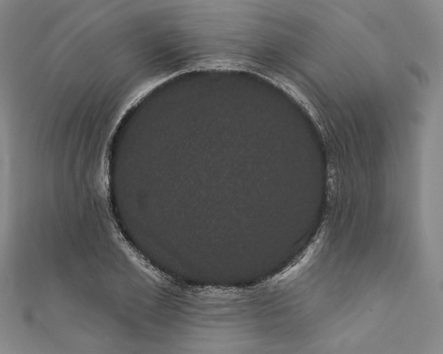 X0000111460981200907271248