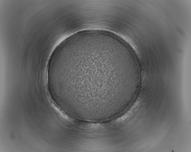 X0000111460982200907271248