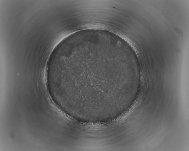 X0000111460983200907271248