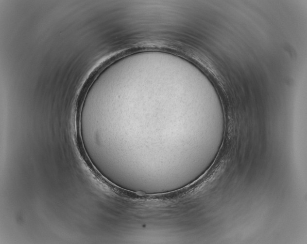 X0000111460984200907271248