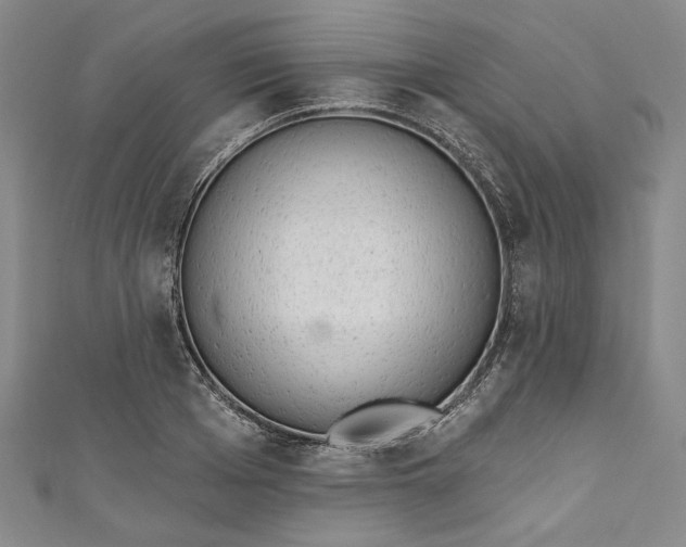 X0000111460985200907271248