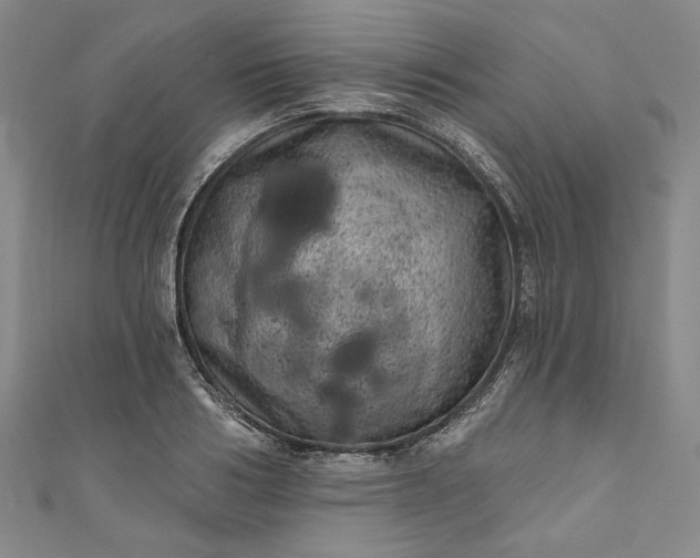 X0000111460986200907271248