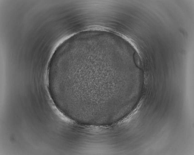 X0000111460987200907271248