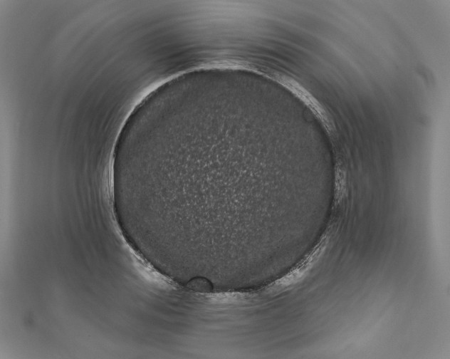 X0000111460988200907271248