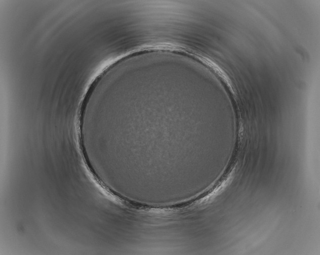 X0000111460989200907271248