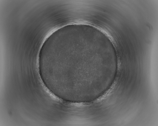 X0000111460990200907271248