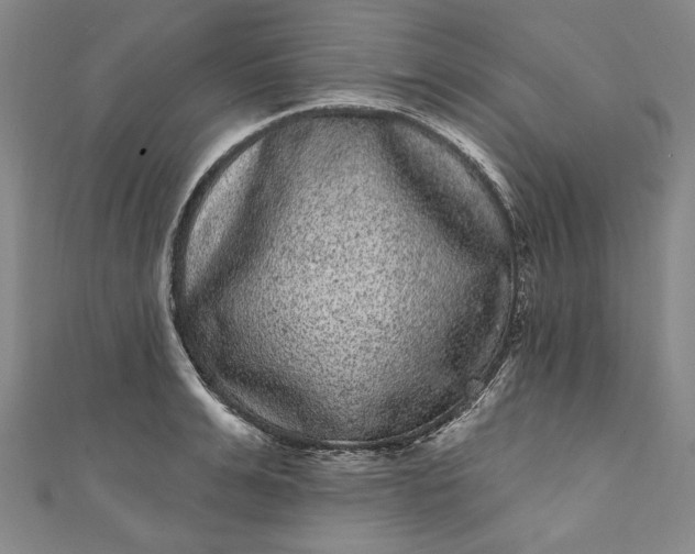 X0000111460991200907271248