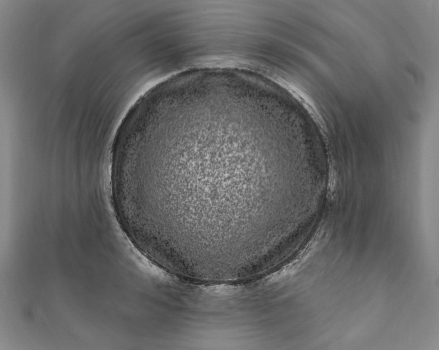 X0000111460992200907271248