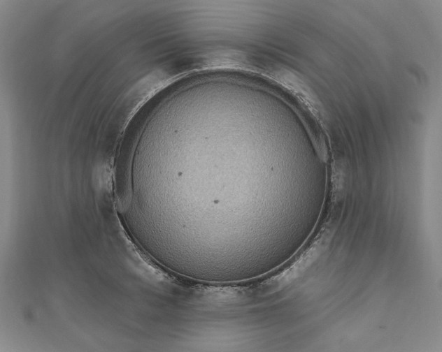 X0000111460993200907271247