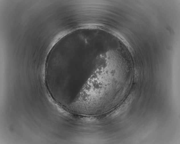 X0000111460994200907271247