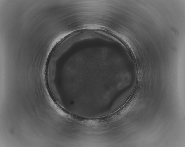 X0000111460995200907271247