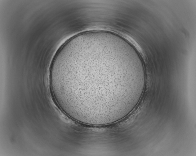 X0000111460996200907271247