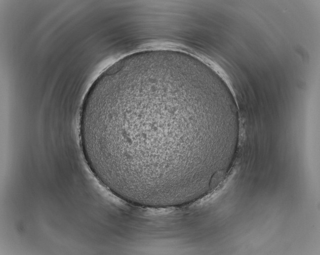 X0000111460997200907271247