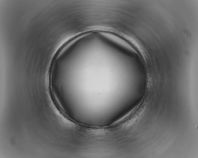 X0000111460999200907271247