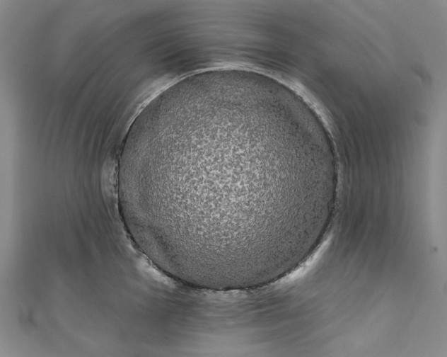 X0000111461001200907271247