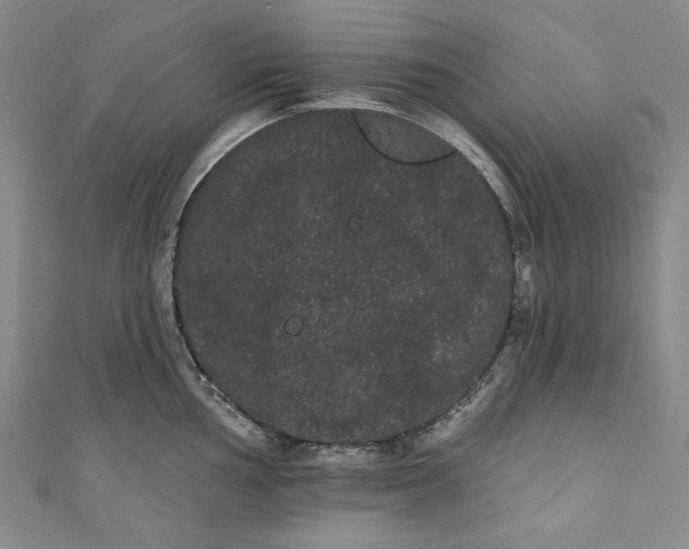 X0000111461002200907271247