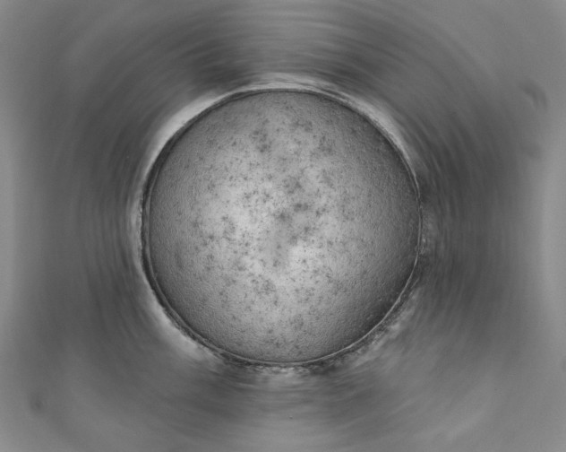 X0000111461003200907271247