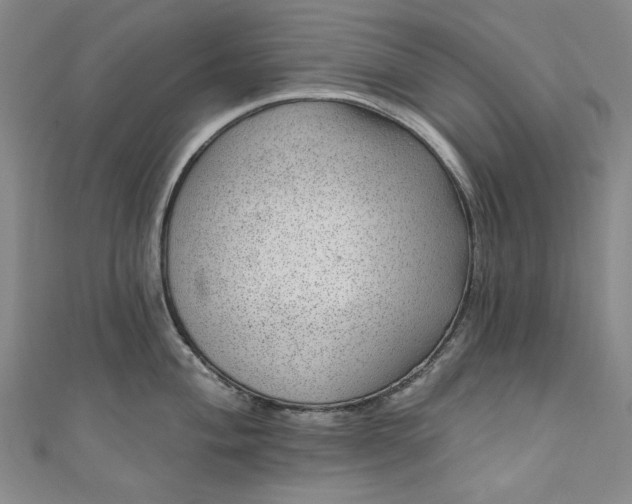 X0000111461004200907271247