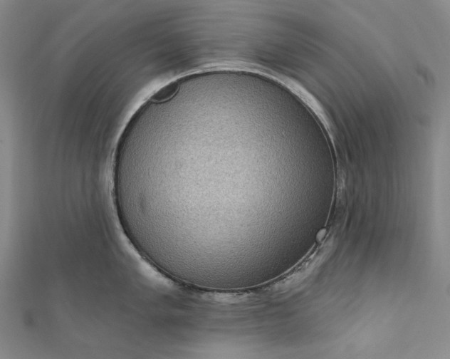 X0000111461005200907271247