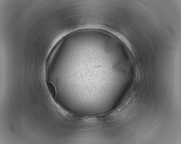 X0000111461006200907271247