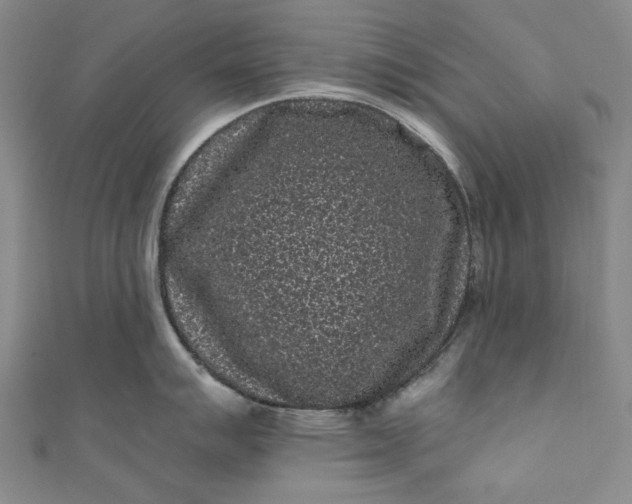 X0000111461007200907271247