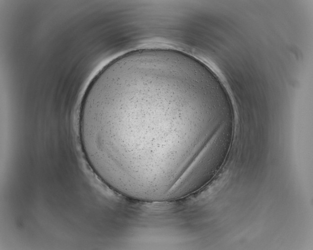 X0000111461008200907271247