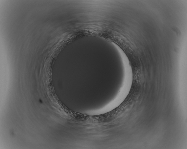 X0000111461009200907271247