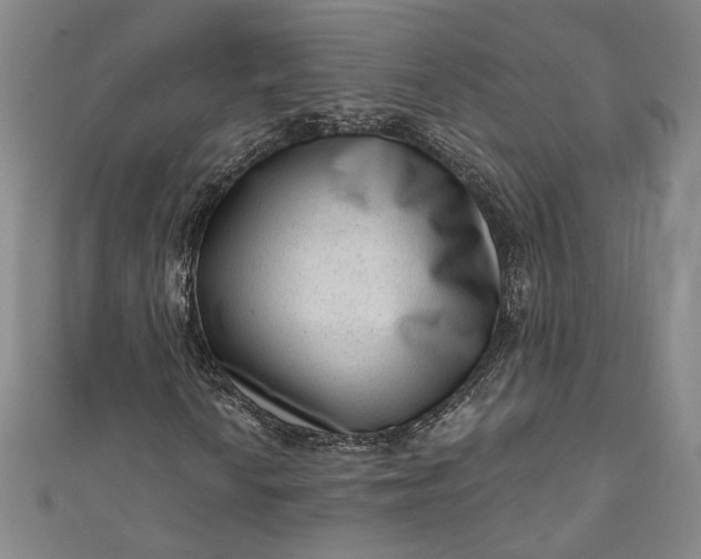 X0000111461010200907271247