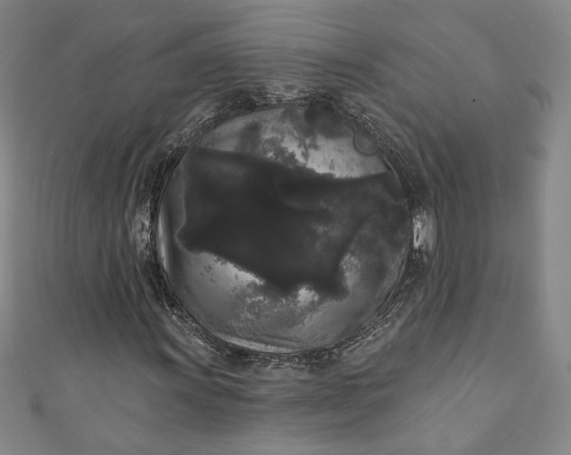 X0000111461011200907271247