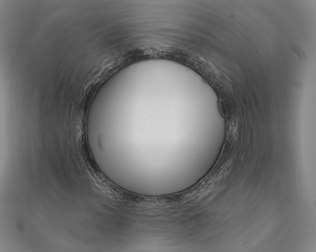 X0000111461012200907271247