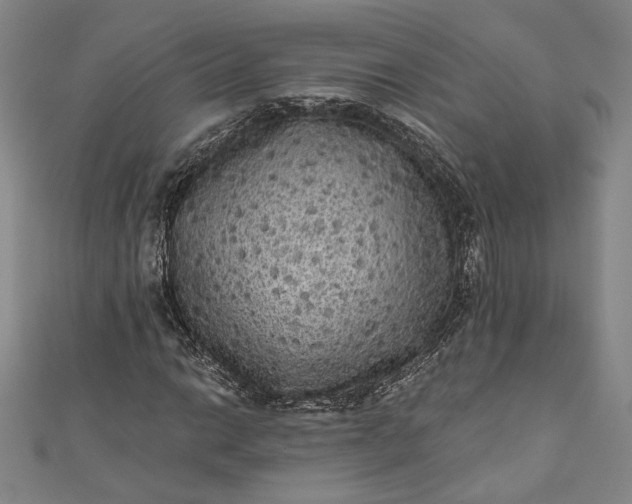 X0000111461014200907271247