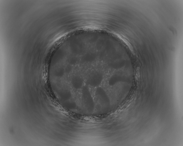 X0000111461015200907271247