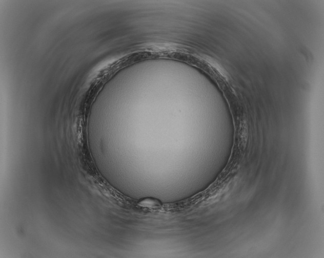 X0000111461016200907271247