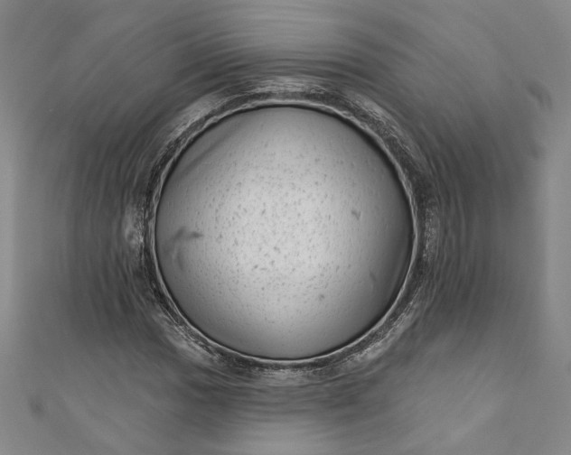 X0000111461017200907271247