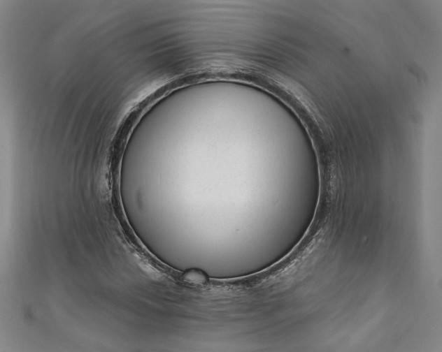 X0000111461018200907271247