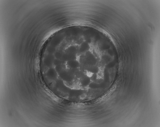 X0000111461019200907271247