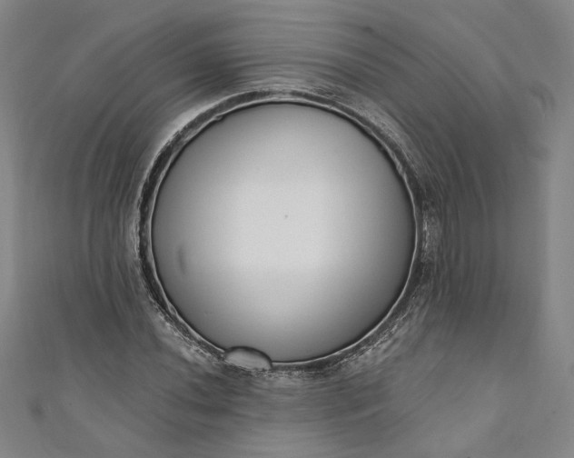 X0000111461020200907271247