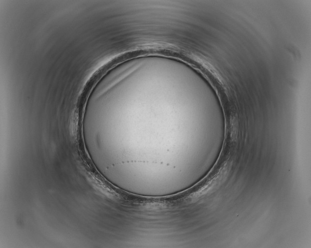 X0000111461021200907271247