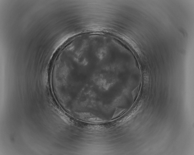 X0000111461023200907271247